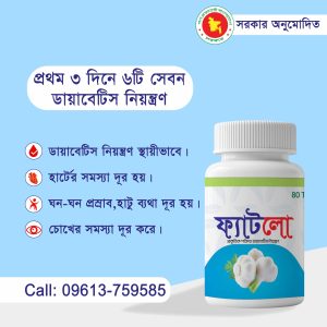 ফ্যাটলো ১ পিস